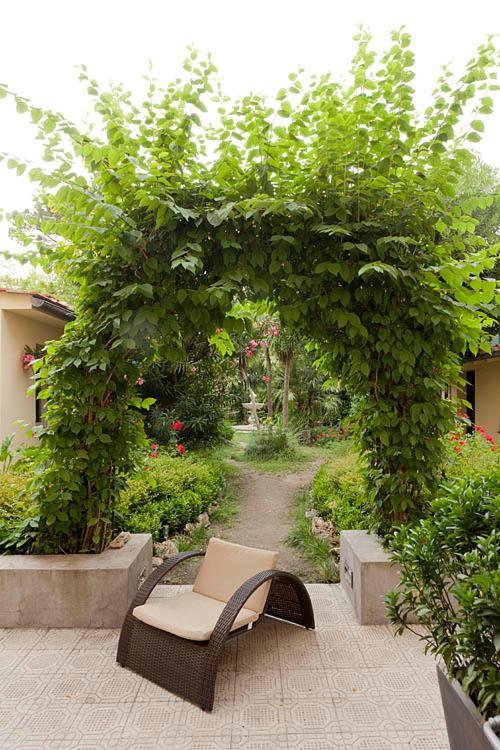 Hotel Novecento Pisa Luaran gambar